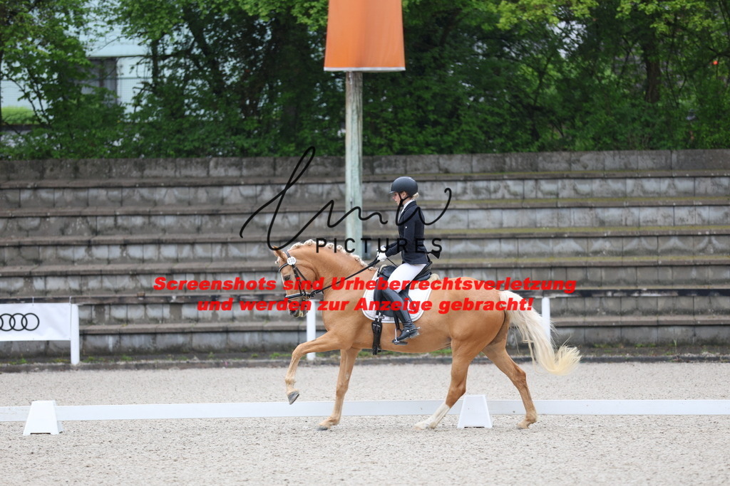 A40A7071 | lmwpictures - Realisiert mit Pictrs.com