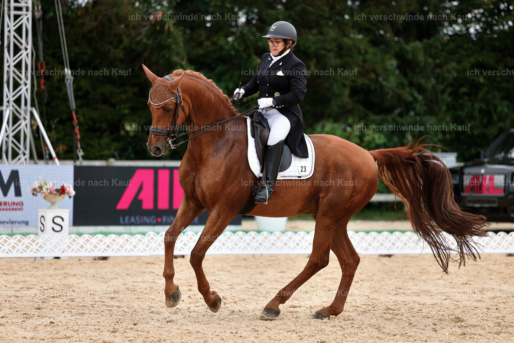 11-023-Dressur S___-StoibPH-1141 | working equitationturnier fotograf videograf stoibphotography marixx film working equitation deutschland reitsport turnierfotografie eventfotografie equestrian events