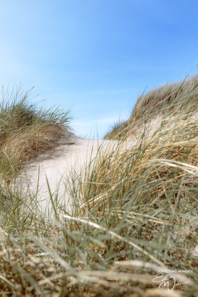 20240506-160520 NORDSEE SPO _031-1 | Herzlich willkommen auf meiner Seite! Ich bin Elke Wallnisch, Deine Fotografin für lichtstarke Momente. Der Name steht für alles, was mich mit der Fotografie verbindet: Das Licht und seine machtvolle Wirkung auf eine Situation oder unsere Stimmung - Realisiert mit Pictrs.com