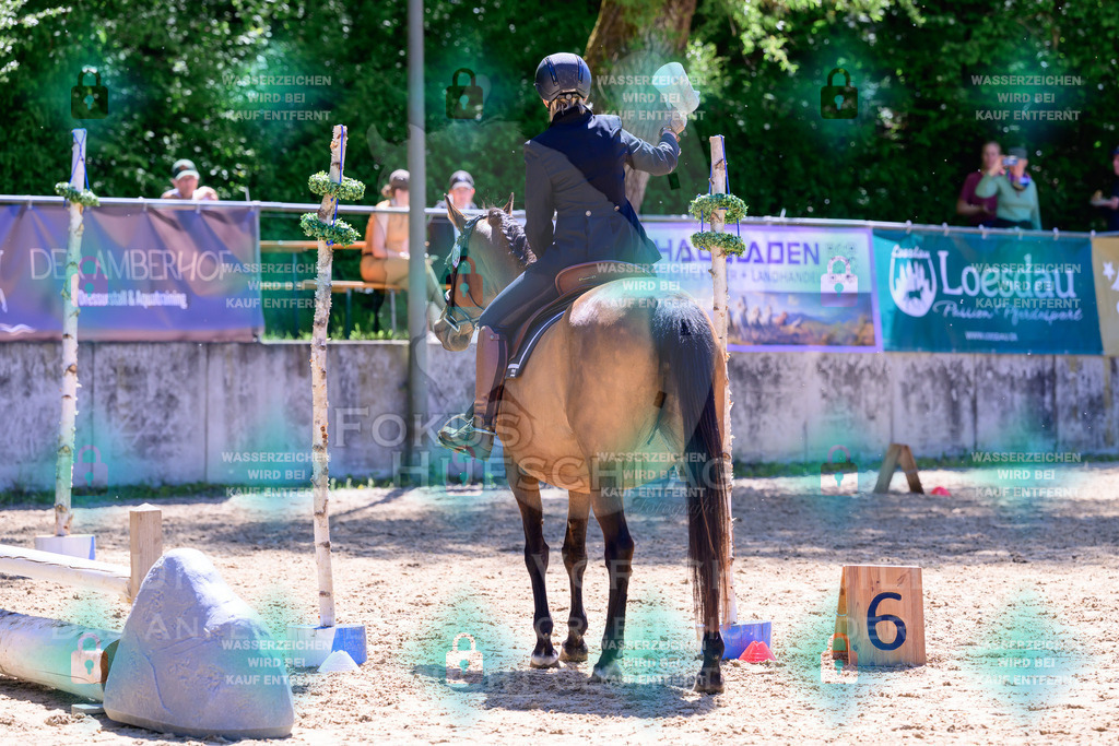 02052026-Giesenbach-01-Stiltrail-0396 | Fokus Hufschlag Fotografie - Realisiert mit Pictrs.com