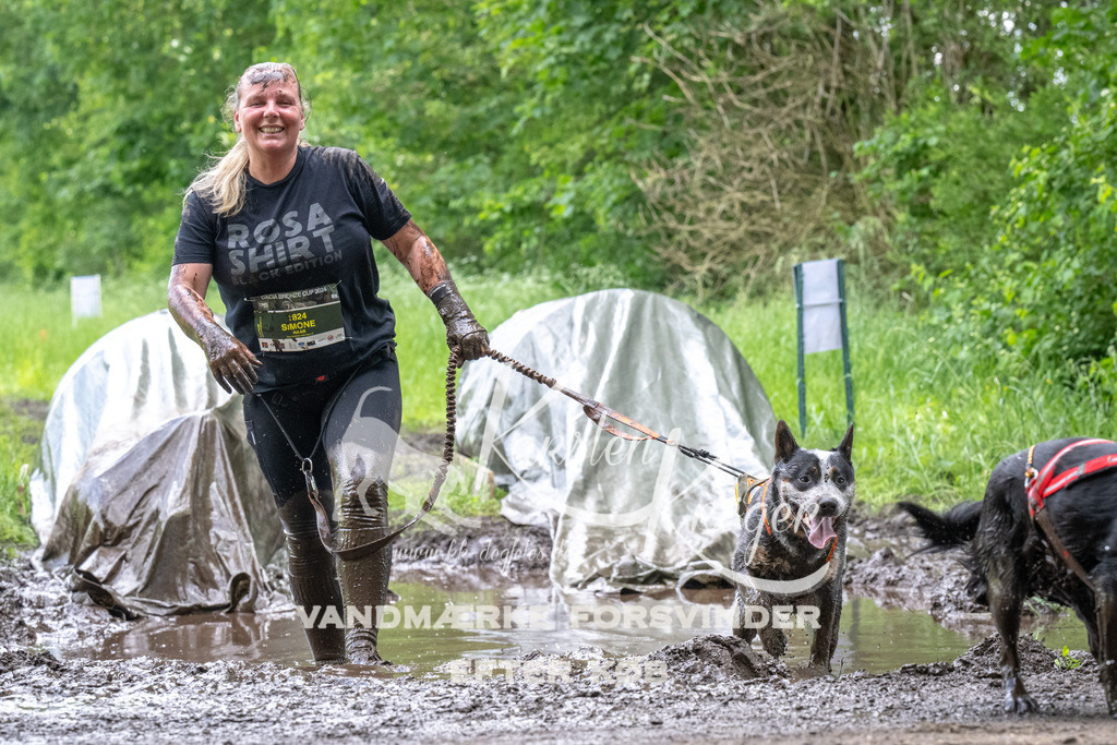 1253_ZZ94112 | kk-dogfotos