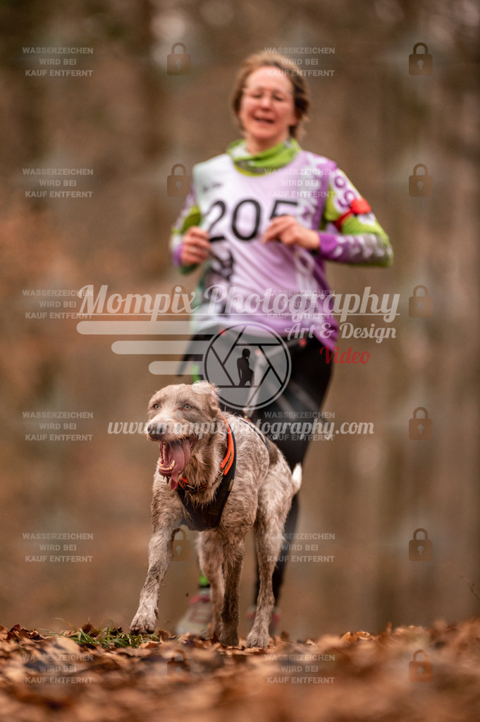 AKM_ST_2023_Son_Run-3 | PayLife