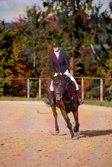 2026_10_03_Siefer-Hof_154201_Z81_59610027 | Professionelle Reitsport-, Turnier- und Eventfotografie von Robert Broda. Galerien mit ausgewählten und bearbeiteten Bildern direkt online ansehen und bestellen.