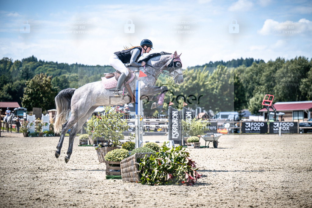 DOS_4165 | Entdecke hochwertige Reitturnierfotos von Foto Oger. Professionell, emotional und authentisch – jetzt Lieblingsmomente im Shop bestellen. - Realisiert mit Pictrs.com