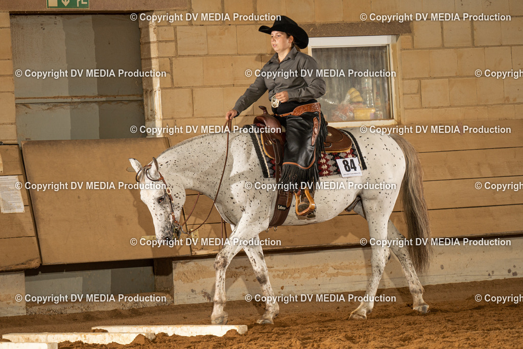 NID01641 | dv-media-shop - Realisiert mit Pictrs.com