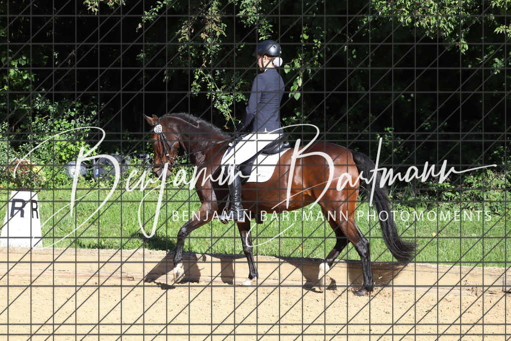 IMG_5305 | Benjamin Bartmann Photomoments