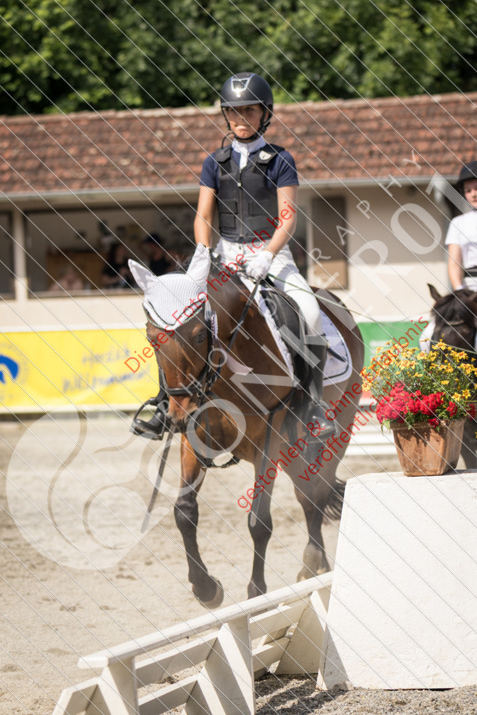 IMG_5226 | Sport-, Event- und Tierfotos in Profiqualität. Einfach auswählen, bestellen und herunterladen. Dein Moment – perfekt festgehalten.