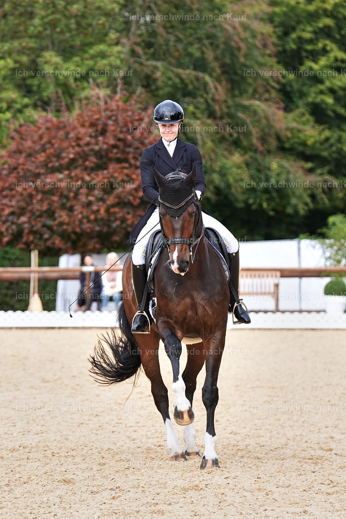 11-091-Dressur S___-Marixx-1636 | working equitationturnier fotograf videograf stoibphotography marixx film working equitation deutschland reitsport turnierfotografie eventfotografie equestrian events