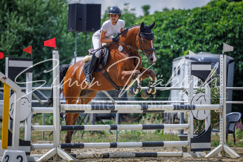 20260705-_3LI4589 | Tierfotografie Pferde, Hunde, Katzen, Haustiere.
Turnierfotografie Reitturniere, Reiten, Springreiten, Dressur in Hanau, dem Main-Kinzig-Kreis und dem Rhein-Main- Gebiet um Frankfurt