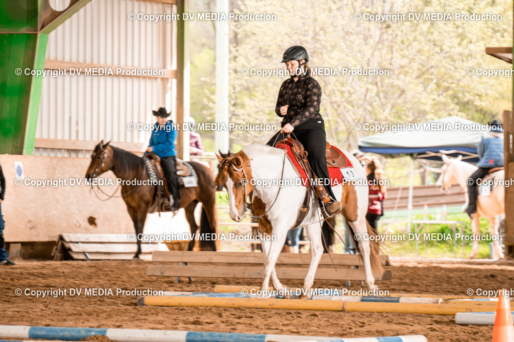 BA300530 | dv-media-shop - Realisiert mit Pictrs.com