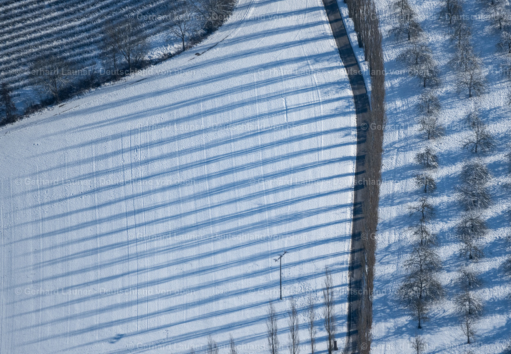 4043107 | winterliche Baumstrukturen beim Weingut Benz bei Beckstein