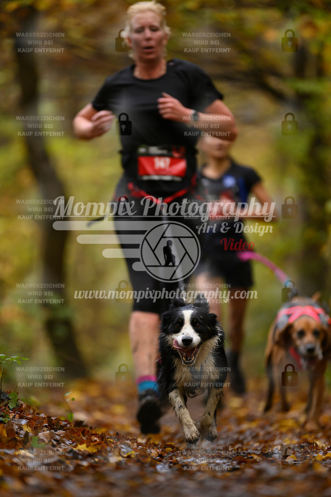 MompixPhotography_CD7S_DI_CCL-139 | mompixphotography