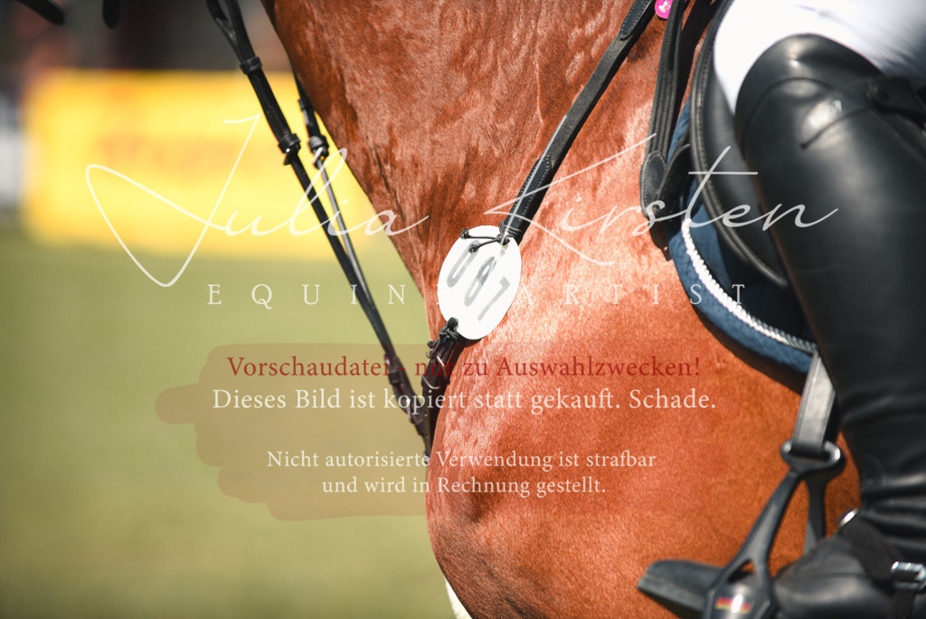 DSC_6504 | Pferde- und Turnierfotografie in Westsachsen. Pferdeportraits, Auftragszeichnungen und intuitive Kunst.