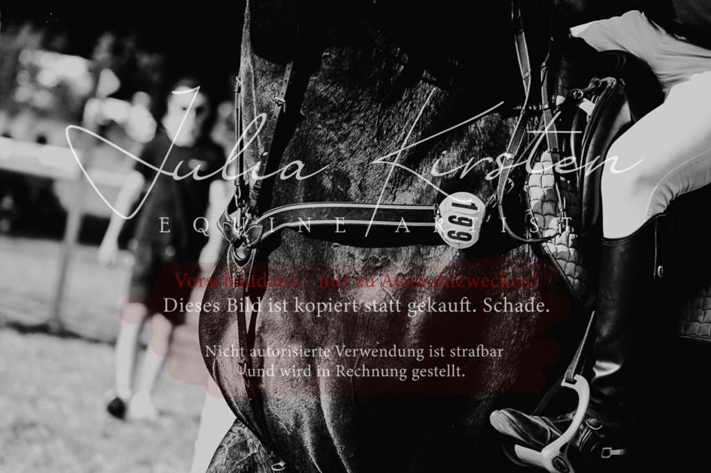 DSC_2994 | Pferde- und Turnierfotografie in Westsachsen. Pferdeportraits, Auftragszeichnungen und intuitive Kunst.