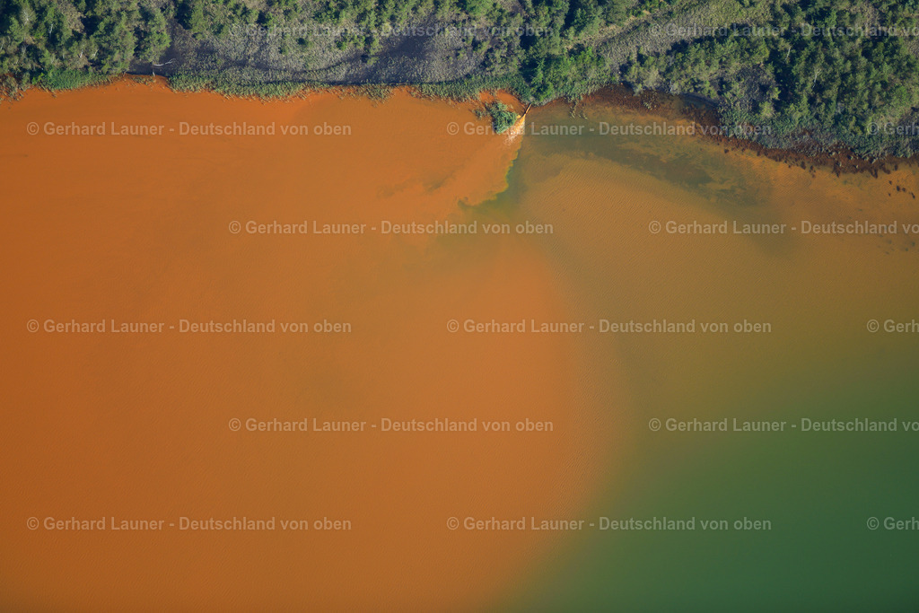 3636930 | BRAUNSBEDRA 08.09.2021 Rekultivierung der ehemaligen Tagebau - Fläche an den Uferbereichen des Sees " Geiseltalsee " in Braunsbedra im Bundesland Sachsen-Anhalt, Deutschland. // Open pit re cultivation on the shores of the lake " Geiseltalsee " in Braunsbedra in the state Saxony-Anhalt, Germany. Foto: Gerhard Launer
