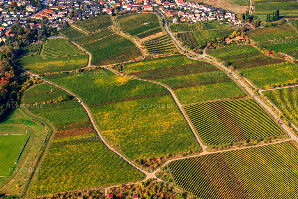 Luftbild: Wegekreuz am Harlenweg im Ortsteil Königsbach in Neustadt im Bundesland Rheinland-Pfalz in Deutschland. Foto: IMG_22031.jpg vom 15.10.2009 durch Werner Riehm/FLY-FOTO.de