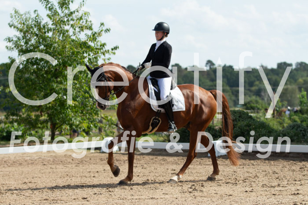 IMG_3012 | Creatify Fotografie