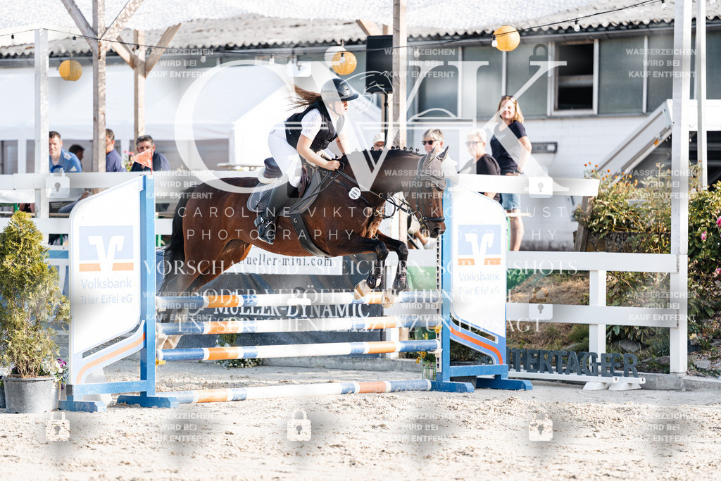 CK909590 | Turnierfotografie Pferdefotografie Trier Rheinland-Pfalz Pferdesport Reitsport Tierfotografie Sportfotografie Pferdevideo Pferdevideografie Equestrianvideography equestrianphotography  - Realisiert mit Pictrs.com