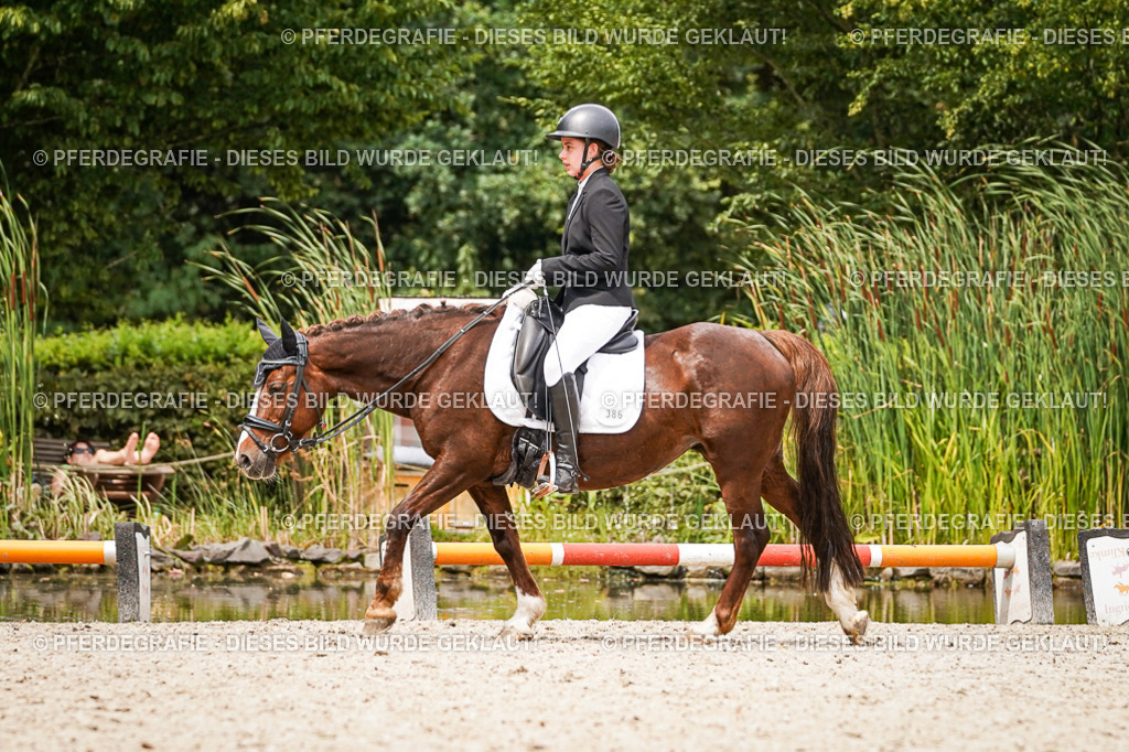 DSC04511 | Pferdegrafie