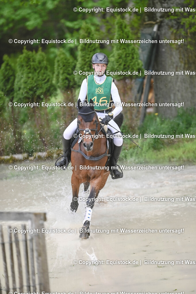 20250517_CCI1_Gelände_0638 | Foto: Thomas Hartig