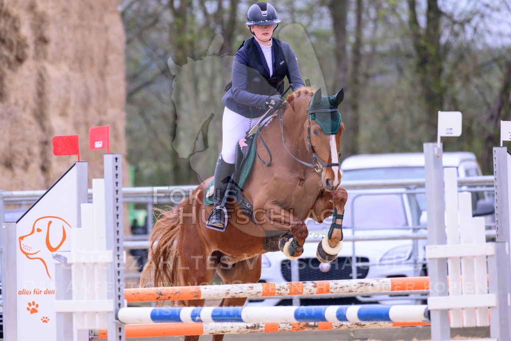 10042026-Mammendorf-Prfg13-0417 | Fokus Hufschlag Fotografie - Realisiert mit Pictrs.com