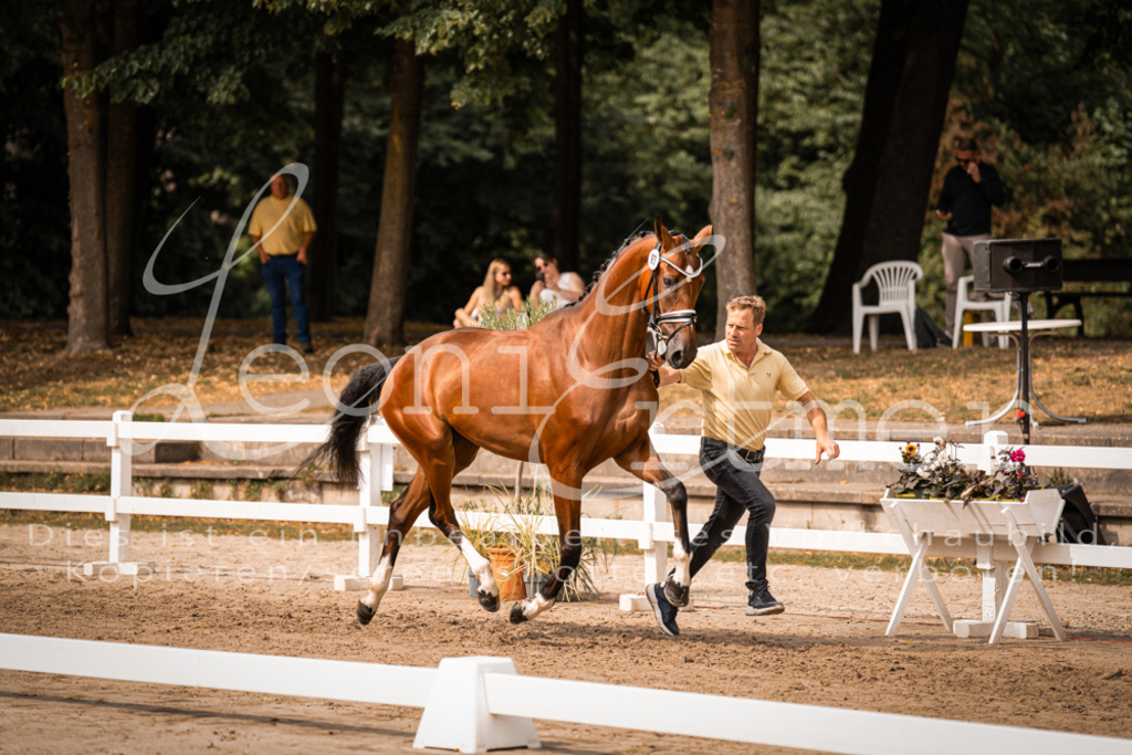 6.Fr00116 | Leoni Ertmer Photography - Realisiert mit Pictrs.com