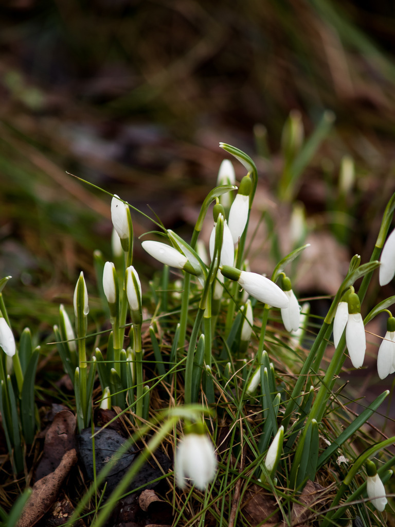 PSX_20230205_224625 | OLYMPUS DIGITAL CAMERA - Realisiert mit Pictrs.com