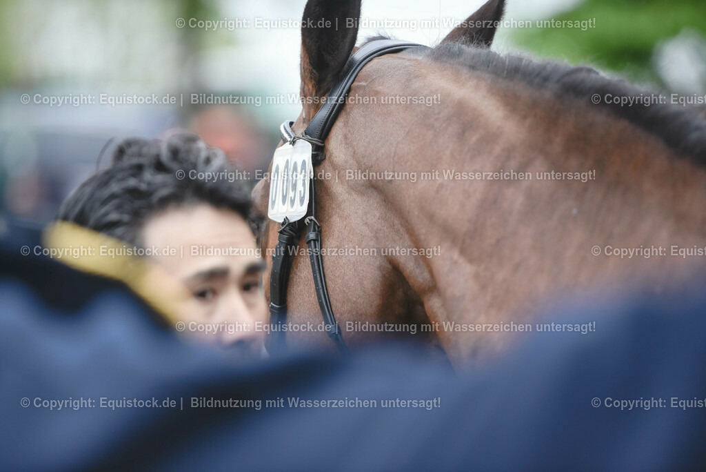 20230514_Impressionen_0179 | equistock