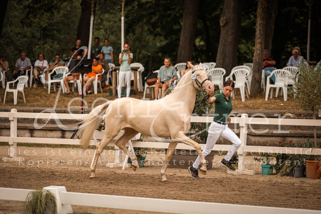 12.So00067 | Leoni Ertmer Photography - Realisiert mit Pictrs.com