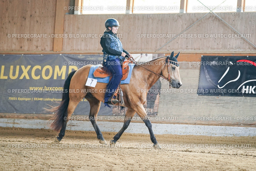 DSC05151 | Pferdegrafie