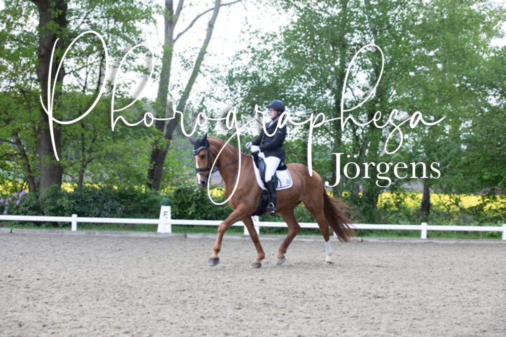 IMG_0278 | photographesa-joergens - Realisiert mit Pictrs.com