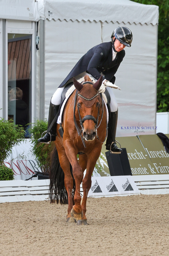 1B3A3580 | Reitsport Reiten