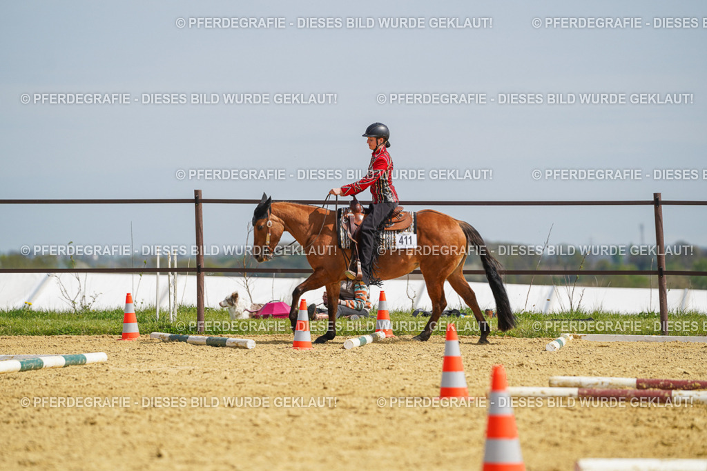 DSC04503 | Pferdegrafie