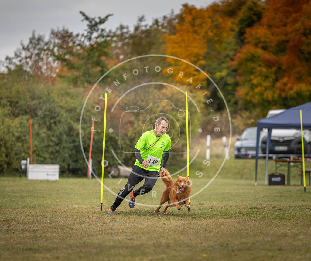 Pfotenfotografie_DV3A6320 | Hundefotografie, Tierfotograf, Pfotenfotografie, Fotoshooting Hund, Hunde Portrait, Hundesport, Hundeportraits, Heideshooting, Hunde, Sportfotograf, Hundefotograf, Turnierhundsport, THS,  - Realisiert mit Pictrs.com