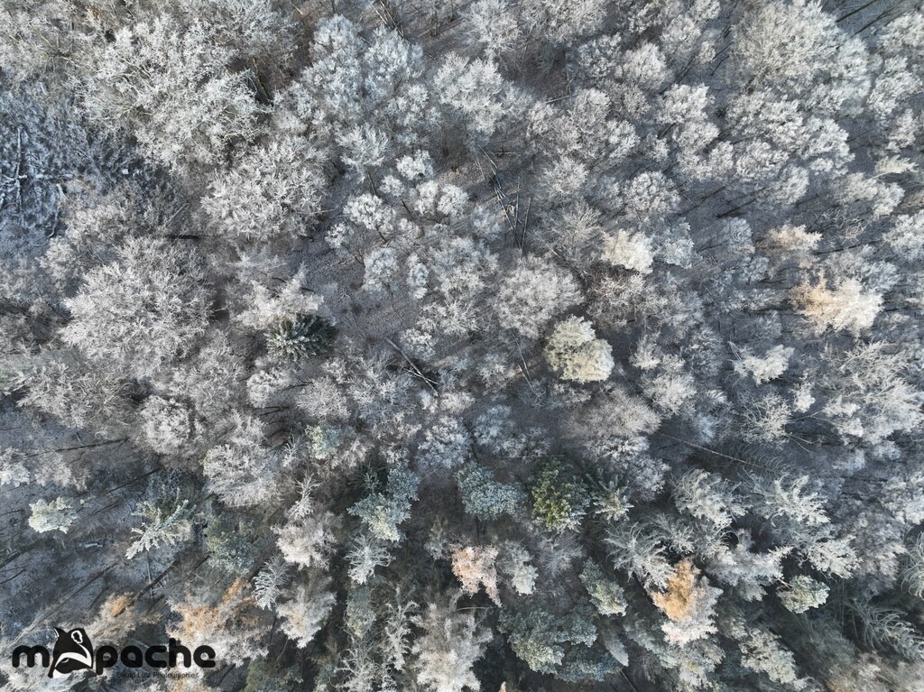 DJI_0017-2 | default - Realisiert mit Pictrs.com