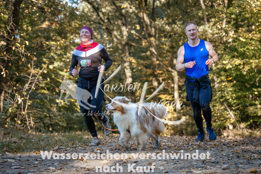 1100_ZZ91341 | kk-dogfotos