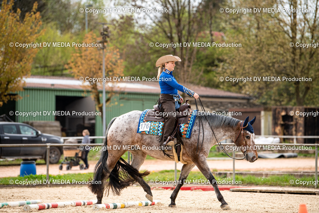 Heiligenwald Tag 1-189 | dv-media-shop - Realisiert mit Pictrs.com