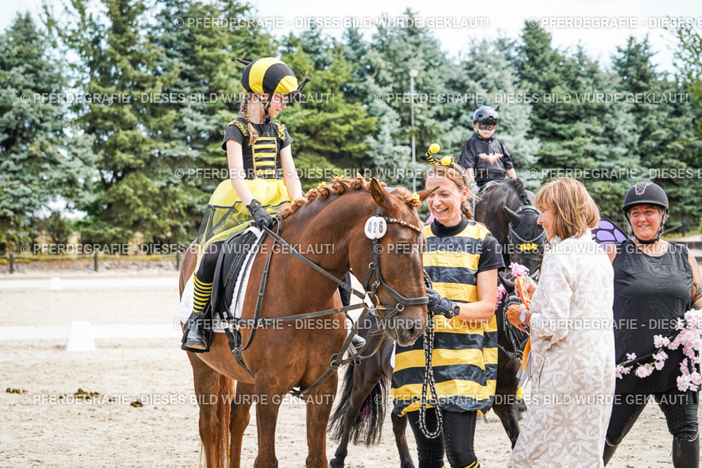 DSC03201 | Pferdegrafie