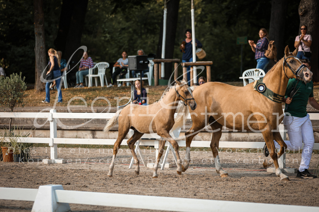11.DoRP00190 | Leoni Ertmer Photography - Realisiert mit Pictrs.com