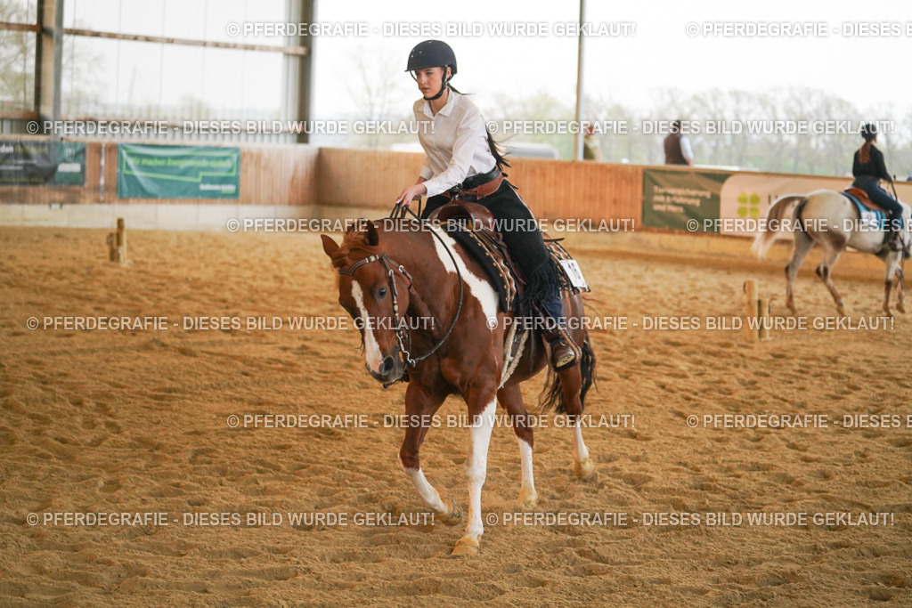 DSC09031 | Pferdegrafie