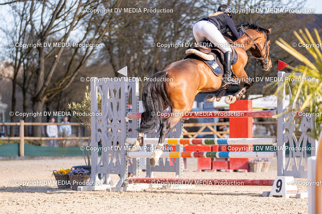 Kranichstein Tag 2-0979 | dv-media-shop - Realisiert mit Pictrs.com