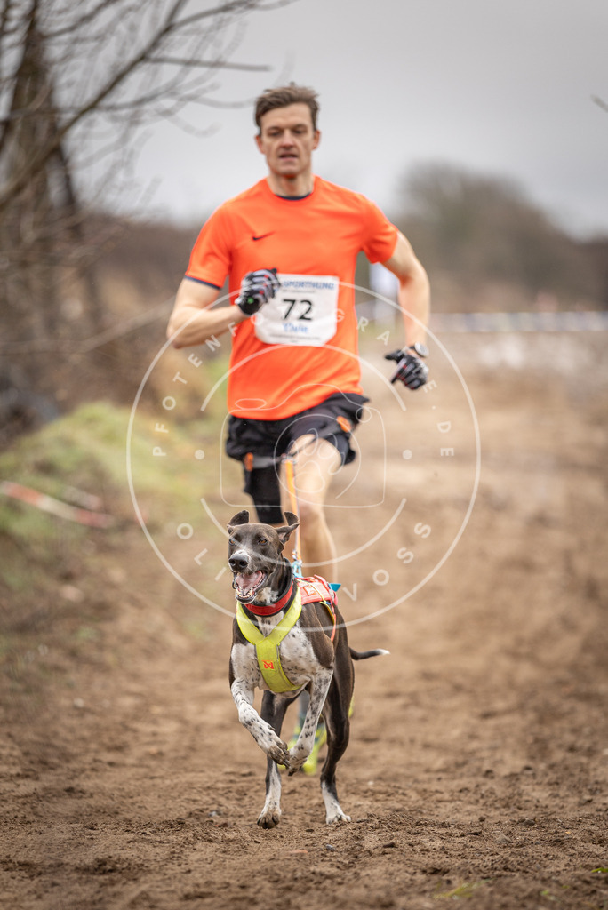 DV3A9666 | Hundefotografie, Tierfotograf, Pfotenfotografie, Fotoshooting Hund, Hunde Portrait, Hundesport, Hundeportraits, Heideshooting, Hunde, Sportfotograf, Hundefotograf, Turnierhundsport, THS,  - Realisiert mit Pictrs.com