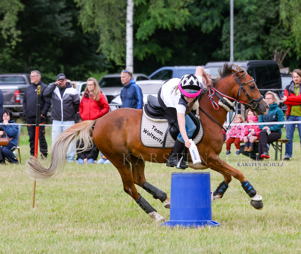 1B3A1439 | Reitsport Reiten