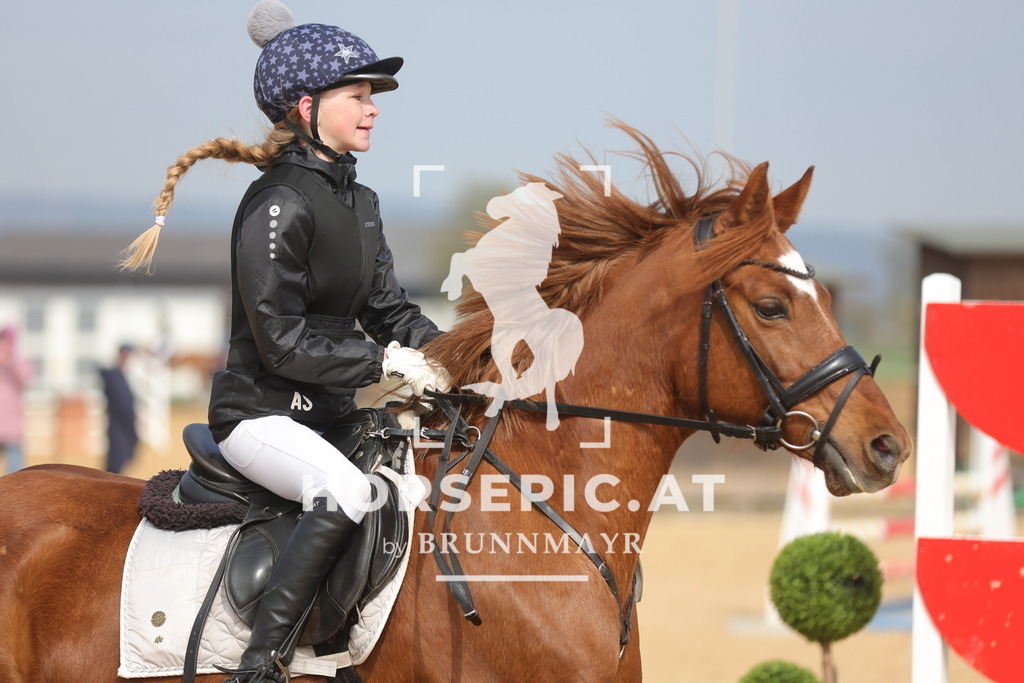 0P6A9230 | Willkommen bei Brunnmayr - Design & Fotografie – Ihrem Spezialisten für Reitturniere und Pferdeveranstaltungen in Oberösterreich, Salzburg und Bayern! Seit über 17 Jahren sind wir leidenschaftlich dabei.
