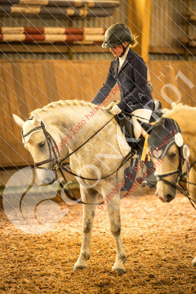 CON_5417 | Sport-, Event- und Tierfotos in Profiqualität. Einfach auswählen, bestellen und herunterladen. Dein Moment – perfekt festgehalten.