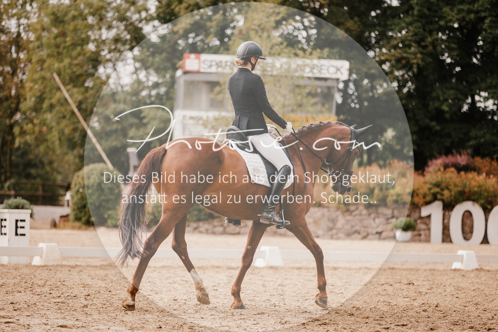 3I6A6223 | Stimmungsvolle Portraits und Reitsportfotografie im Ruhrgebiet und im Münsterland.

Pferdefotografie, Hundefotografie, Tierfotografie, Reportagen, Portraits von Tier und Mensch, Turnierfotografie in Bochum, Recklinghausen, Marl, Haltern am See, Dülmen.. - Realisiert mit Pictrs.com
