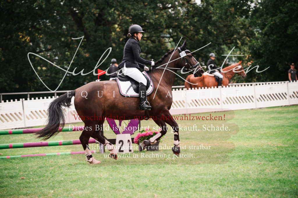 DSC_5834 | Pferde- und Turnierfotografie in Westsachsen. Pferdeportraits, Auftragszeichnungen und intuitive Kunst.