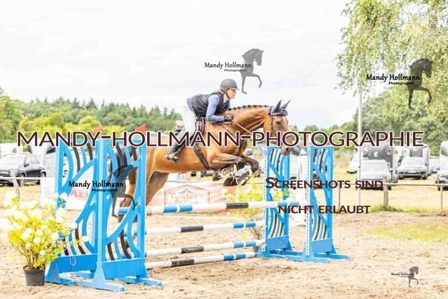 26-8-7 SPR A++-191 | mandyhollmannphotographie