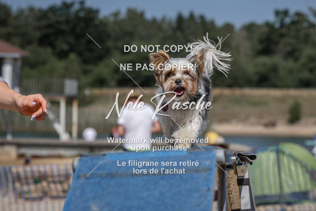 nelerasche_saBeachility_325 | nelerasche