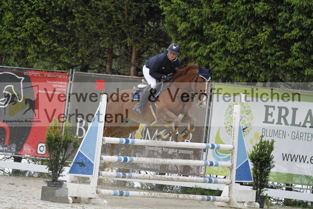 _MG_1279 | equestrian-live-com
